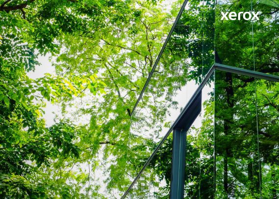 Reflet d'arbres visibles sur la façade en verre d'un bâtiment moderne, créant un mélange harmonieux de nature et d'architecture. Reflet d'arbres visibles sur la façade en verre d'un bâtiment moderne, créant un mélange harmonieux de nature et d'architecture.